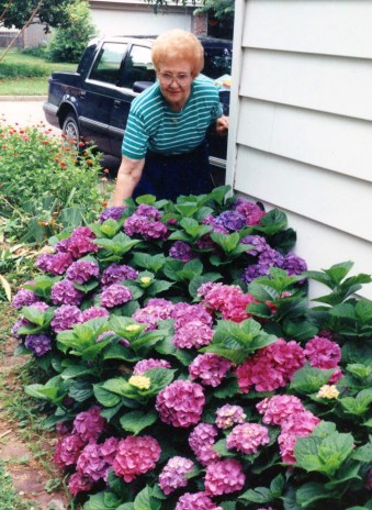 Nana &amp; Hydrangeas